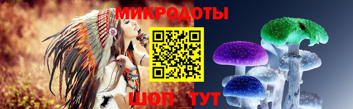 Псилоцибиновые грибы Psilocybe  Псилоцибиновые грибы ЛСД  Вход с VPN  Зеленогорск 